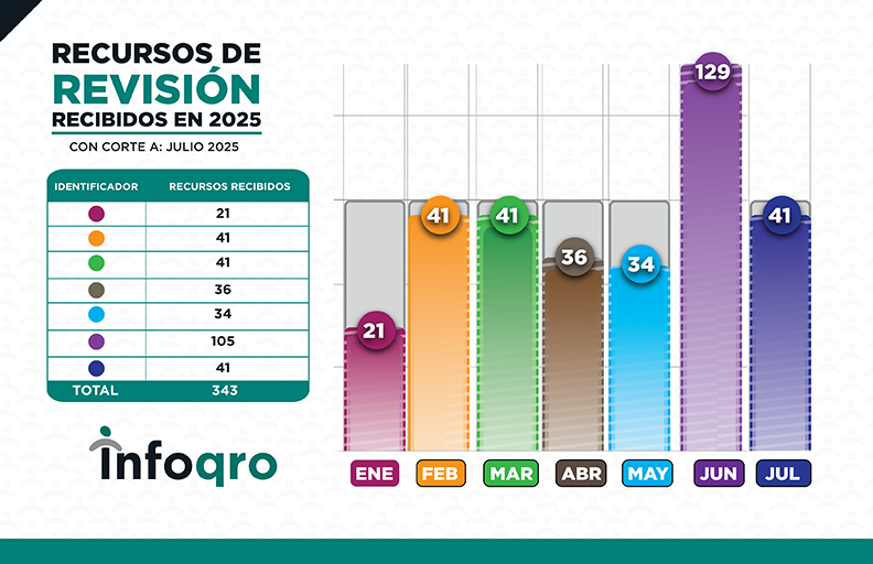 ESTADISTICAS_JULIO_2025_RECURSOS 3