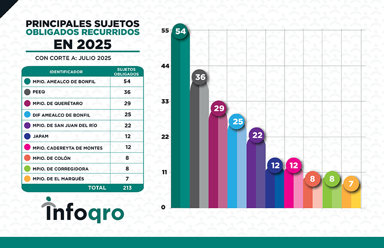 ESTADISTICAS_JULIO_2025_RECURSOS 7